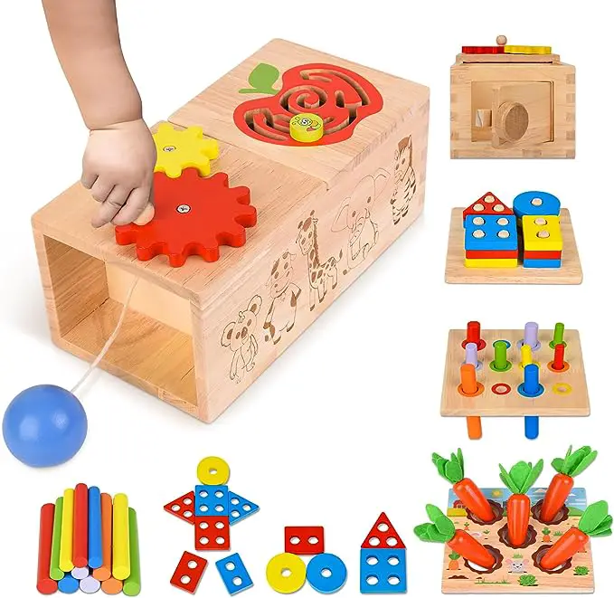 6-in-1 Montessori Toys Play Kit