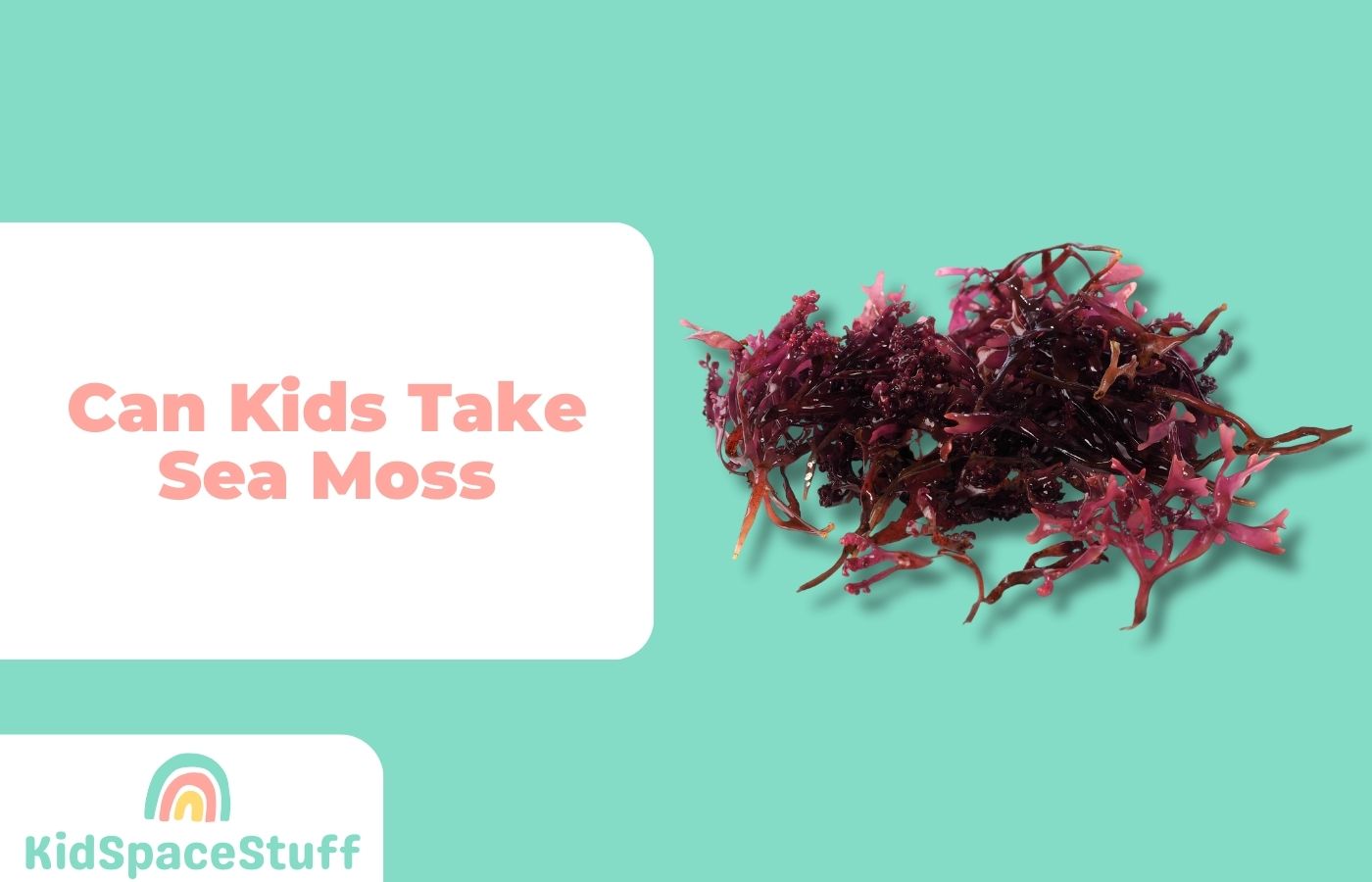 Can Kids Take Sea Moss? (Quick Answer!)