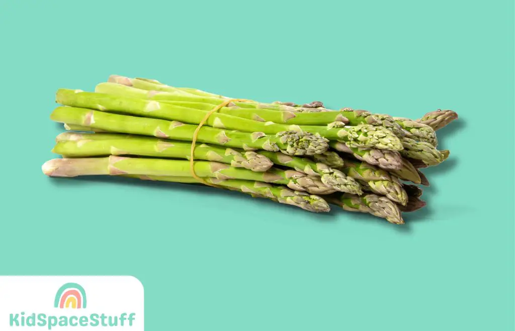 Bunch of Fresh Asparagus
