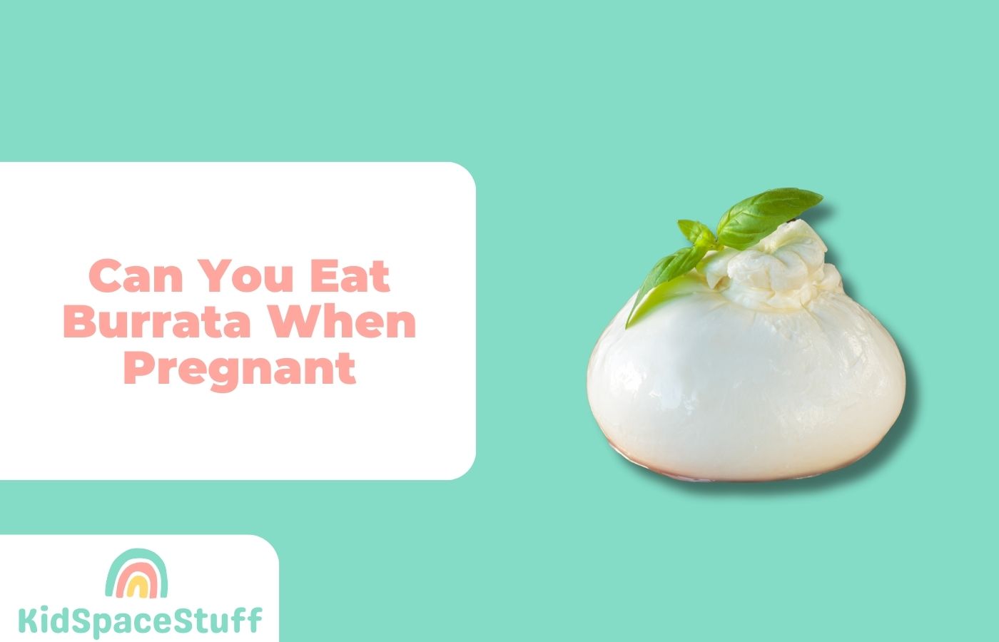 Can You Eat Burrata When Pregnant? (Quick Answer!)
