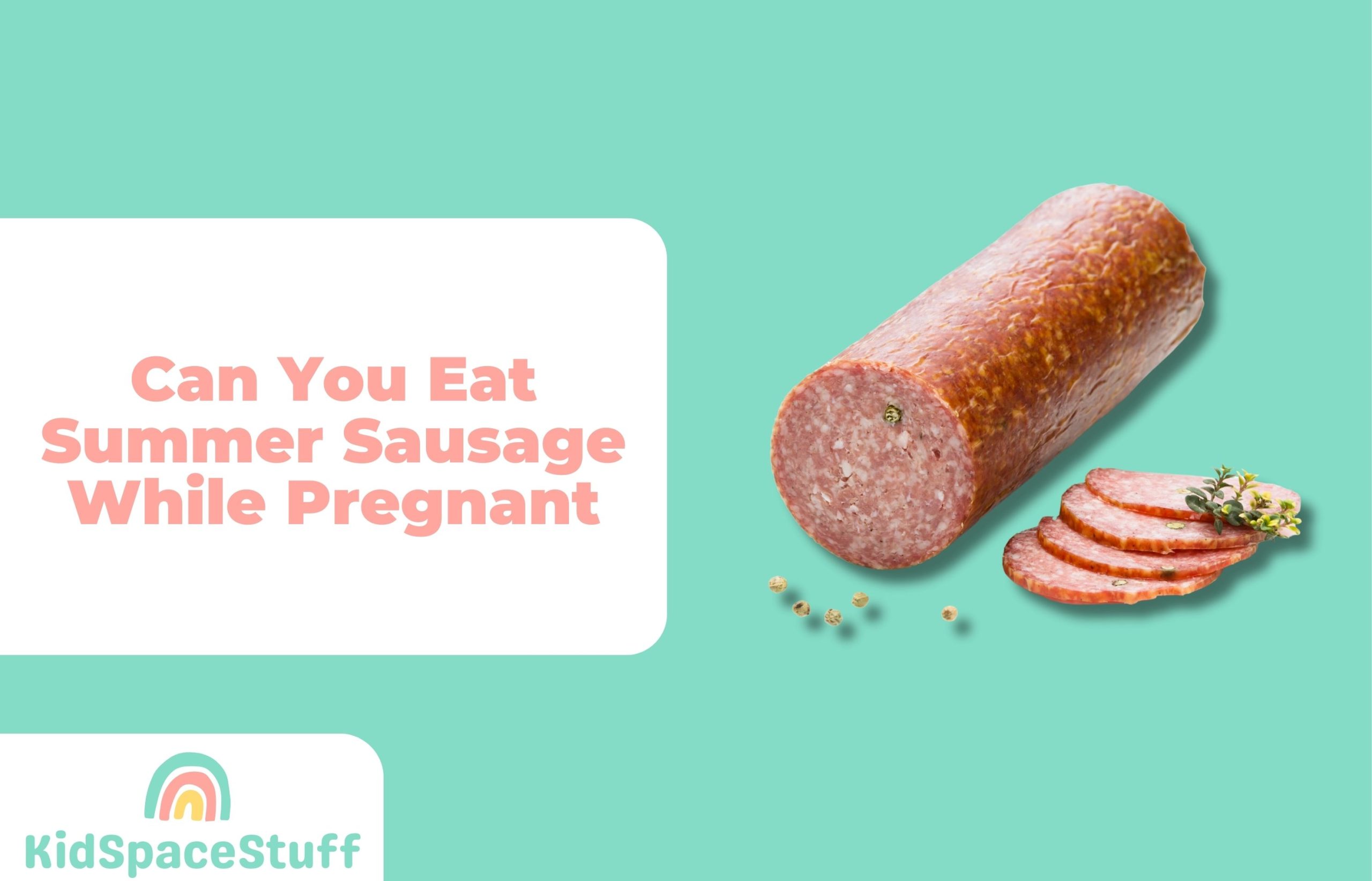 Can You Eat Summer Sausage While Pregnant? (Quick Answer!)